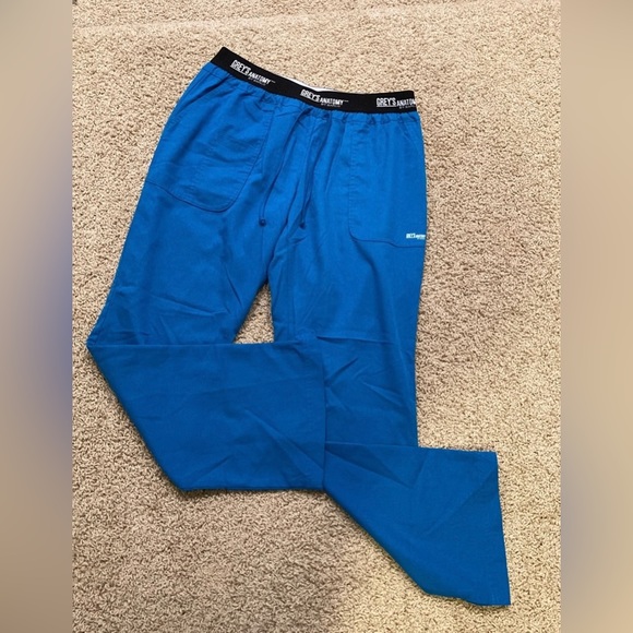 Grey's Anatomy Blue Scrub Pants - Picture 1 of 7